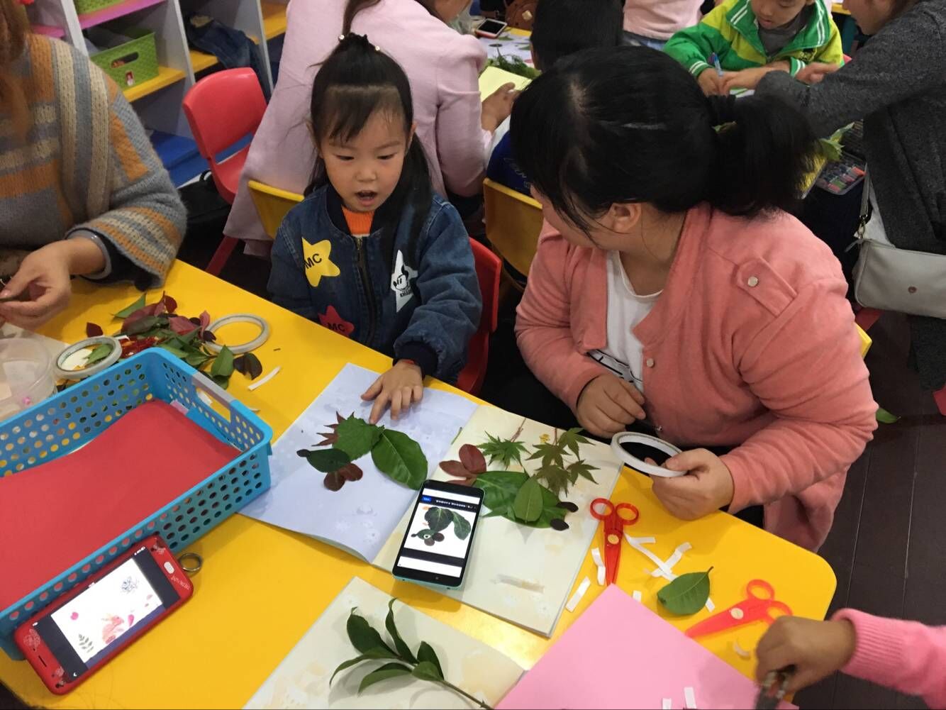 ���ջ��Ҷ����